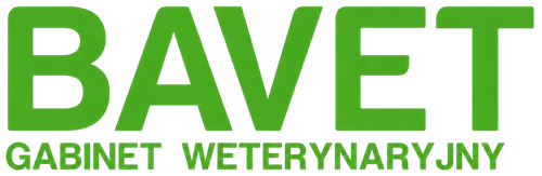 Strona w budowie